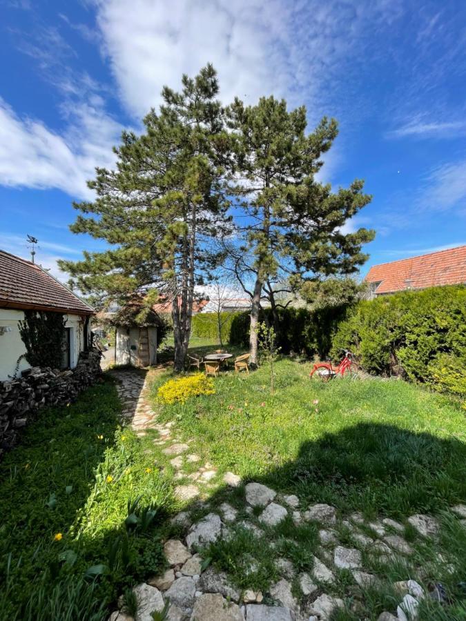 Gartenapartment Storchenblick Weiden am See Dış mekan fotoğraf